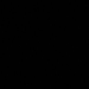 Meet your Posher, Dayanara